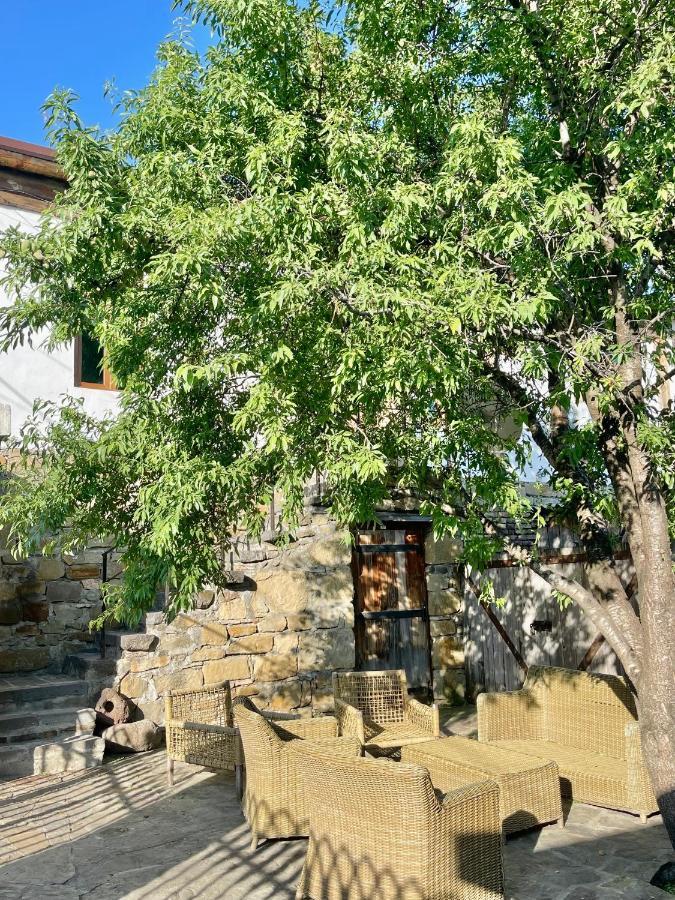 Guest House Savane 고리 외부 사진