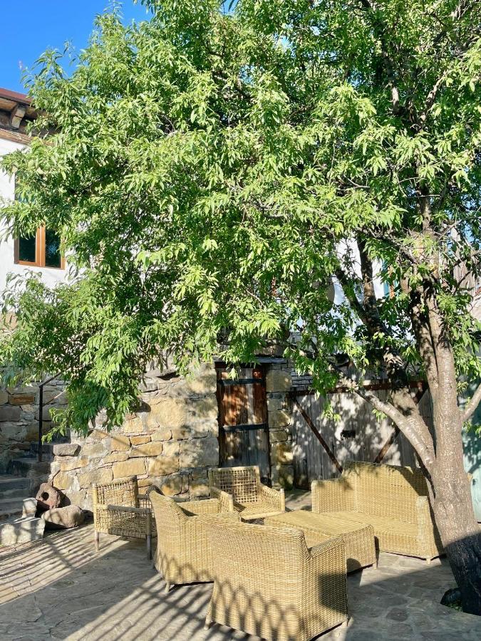 Guest House Savane 고리 외부 사진